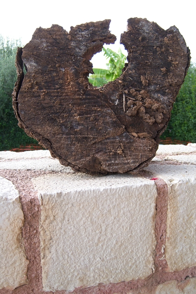 100_2015 small KALYVES OLIVE LOG.jpg - 220071 Bytes